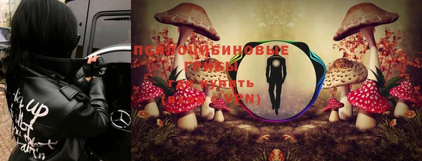 тгк Алзамай