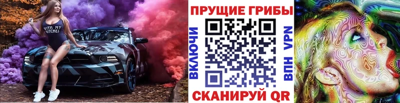 Купить где  Южа  Псилоцибиновые грибы Psilocybe 